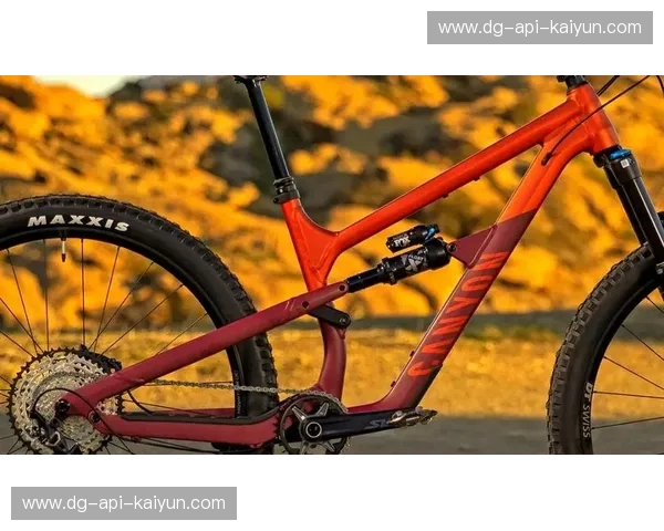 山地车数据直播：实时洞察与骑行革命